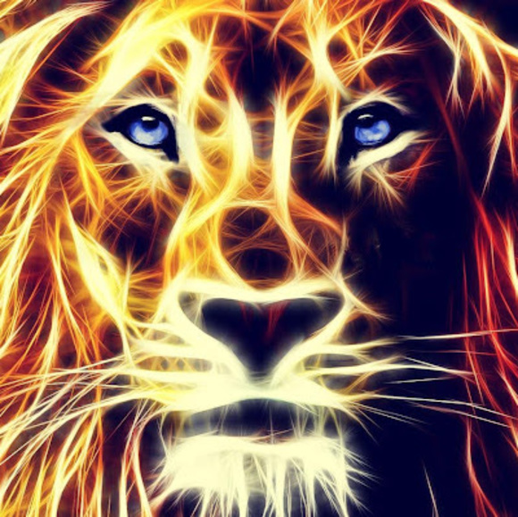 Meet your Posher, Andy - Picture 1 of 1